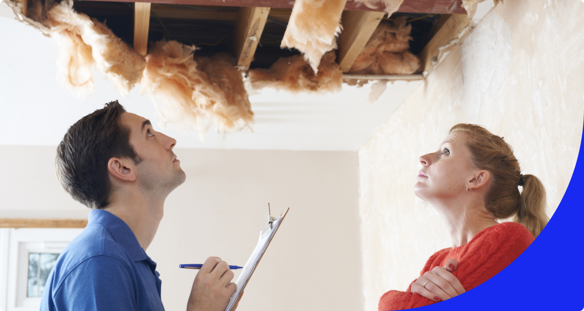 People looking at insulation