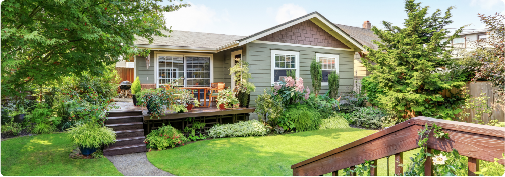 Backyard of a green home with plants and trees on sunny day