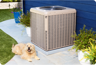AC with dog next to it 