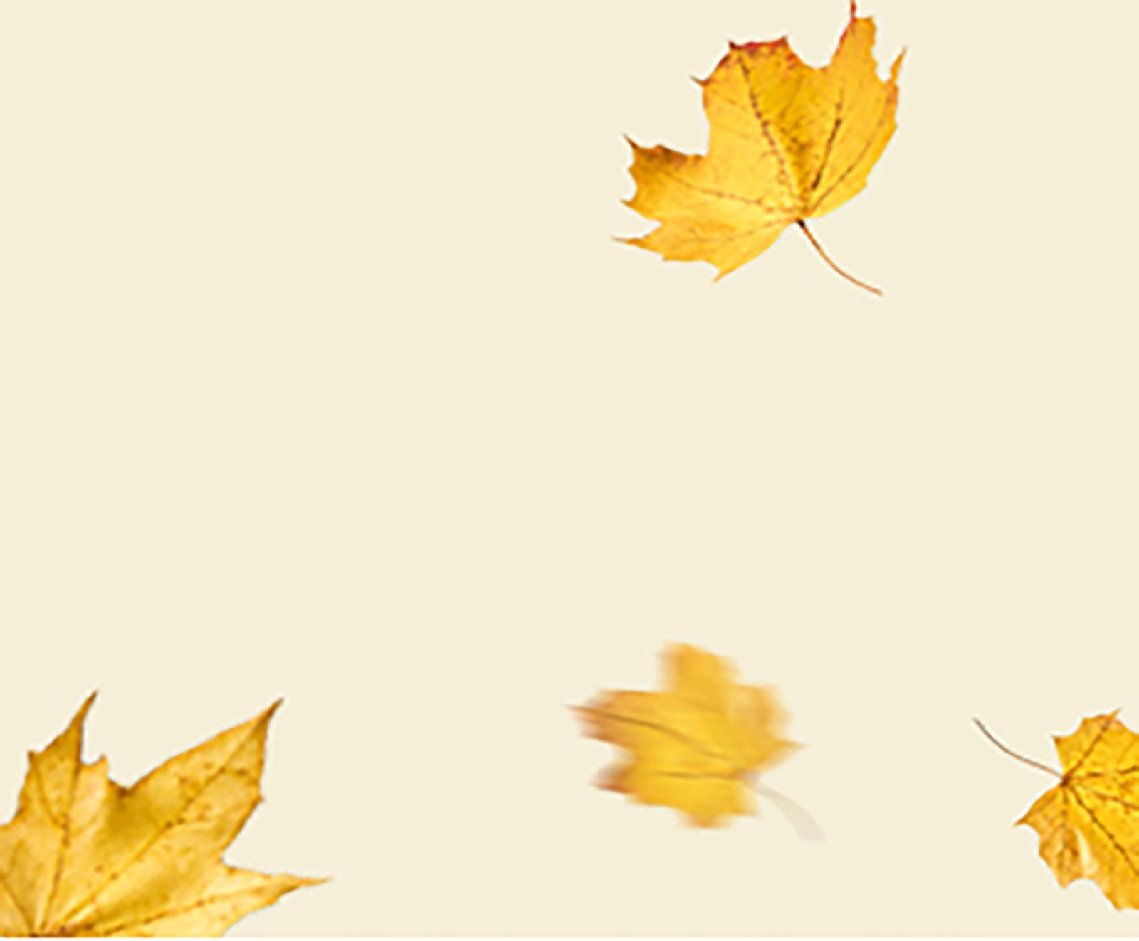 Background image. 50% off select plans