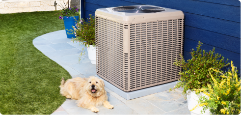 Shaggy dog laying next to an outdoor AC Unit