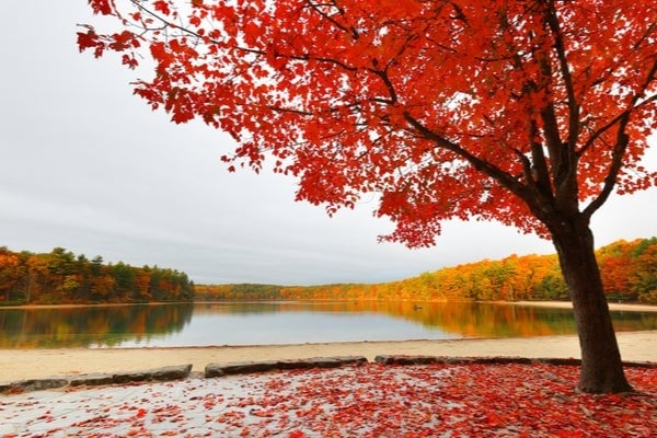 Concord, MA