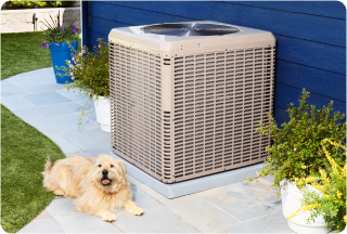 Dog next to a HVAC