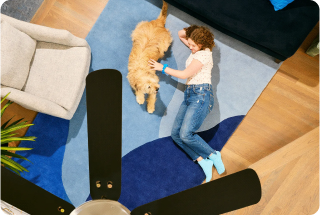Ceiling fan blowing air on person and a dog