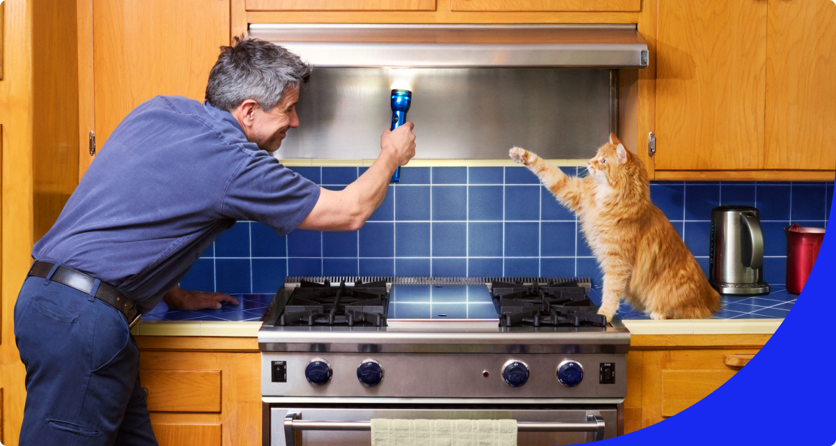 Person inspecting oven 