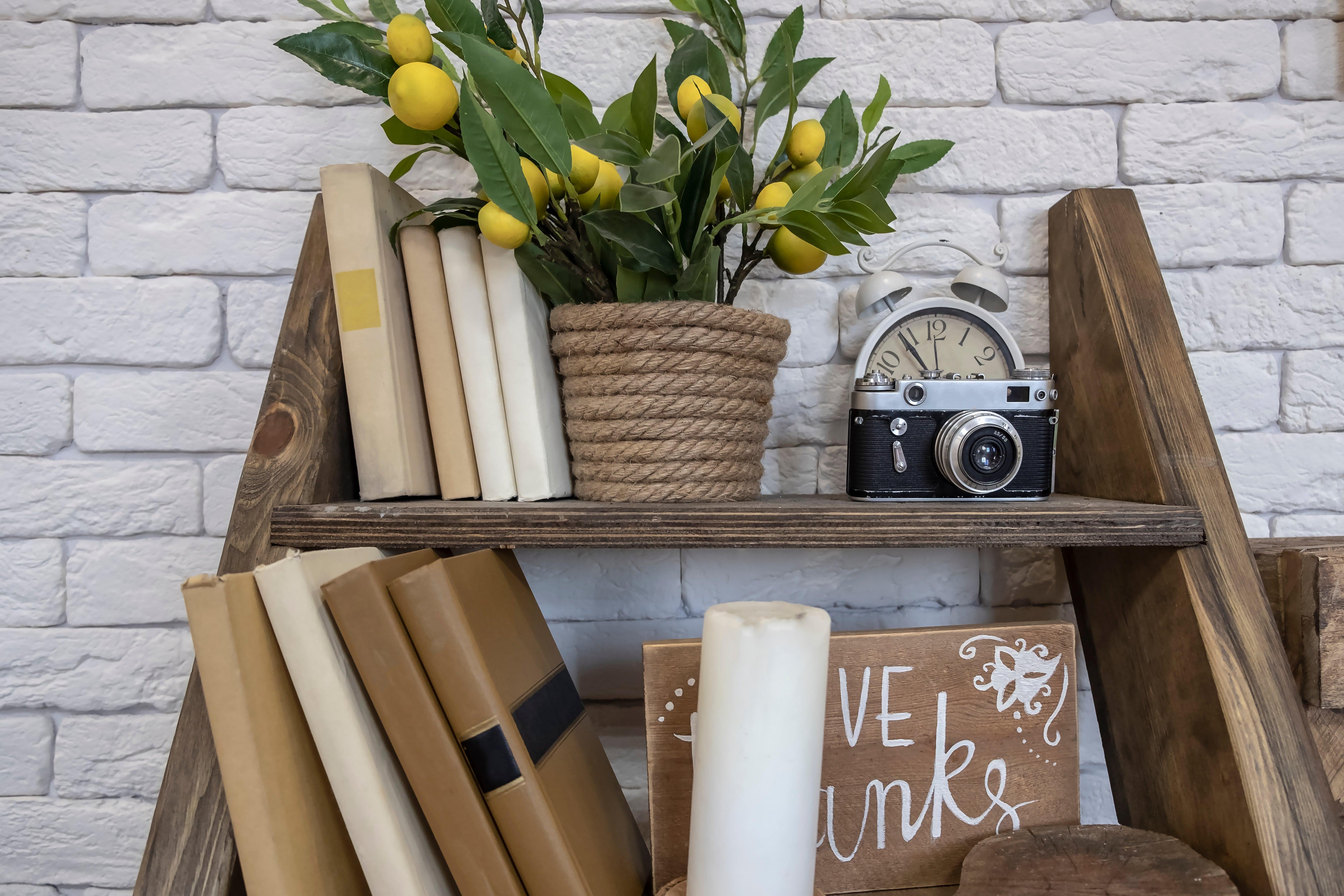 potted plant on shelf with books