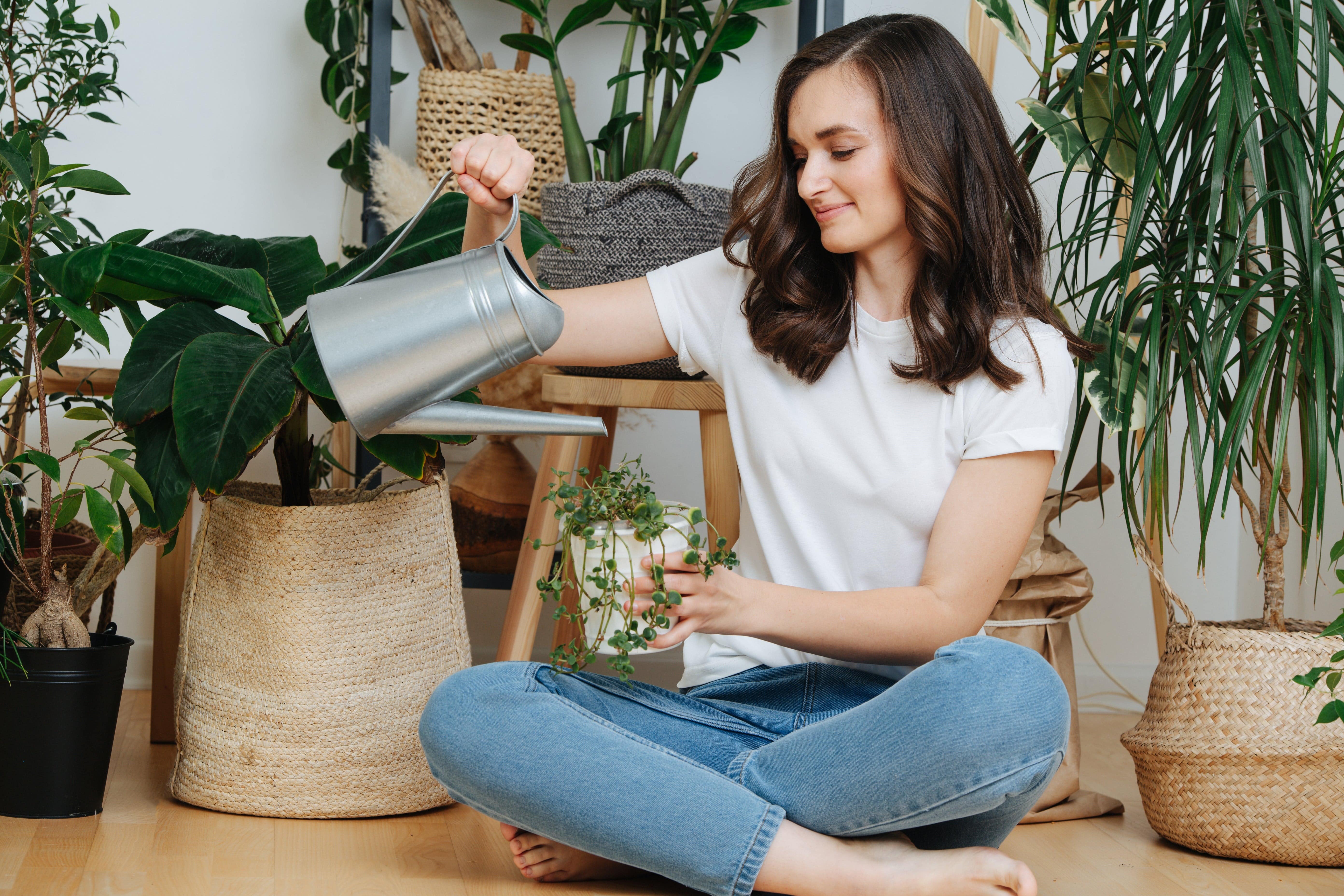 woman watering indoor plants