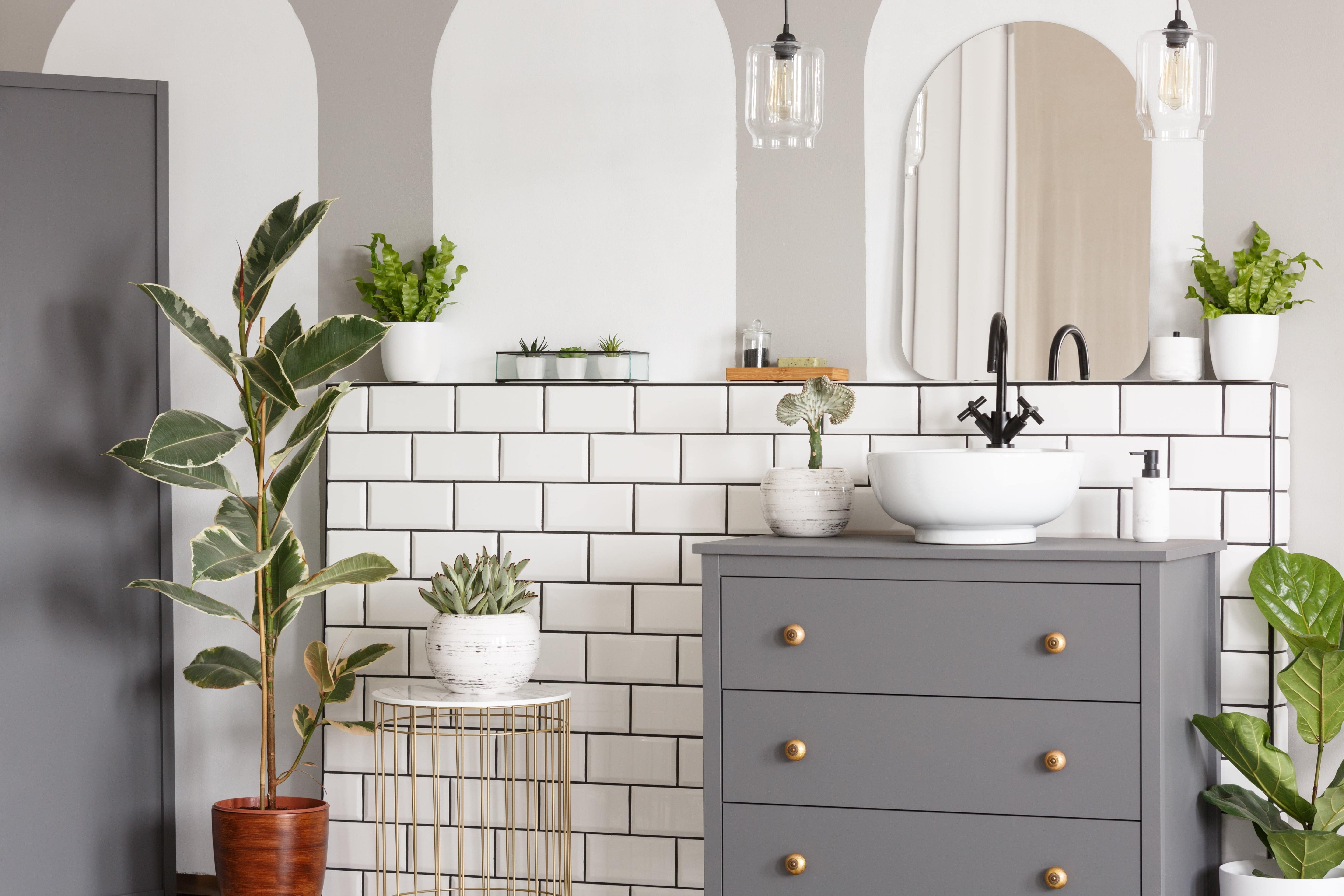 many green plants in a bathroom