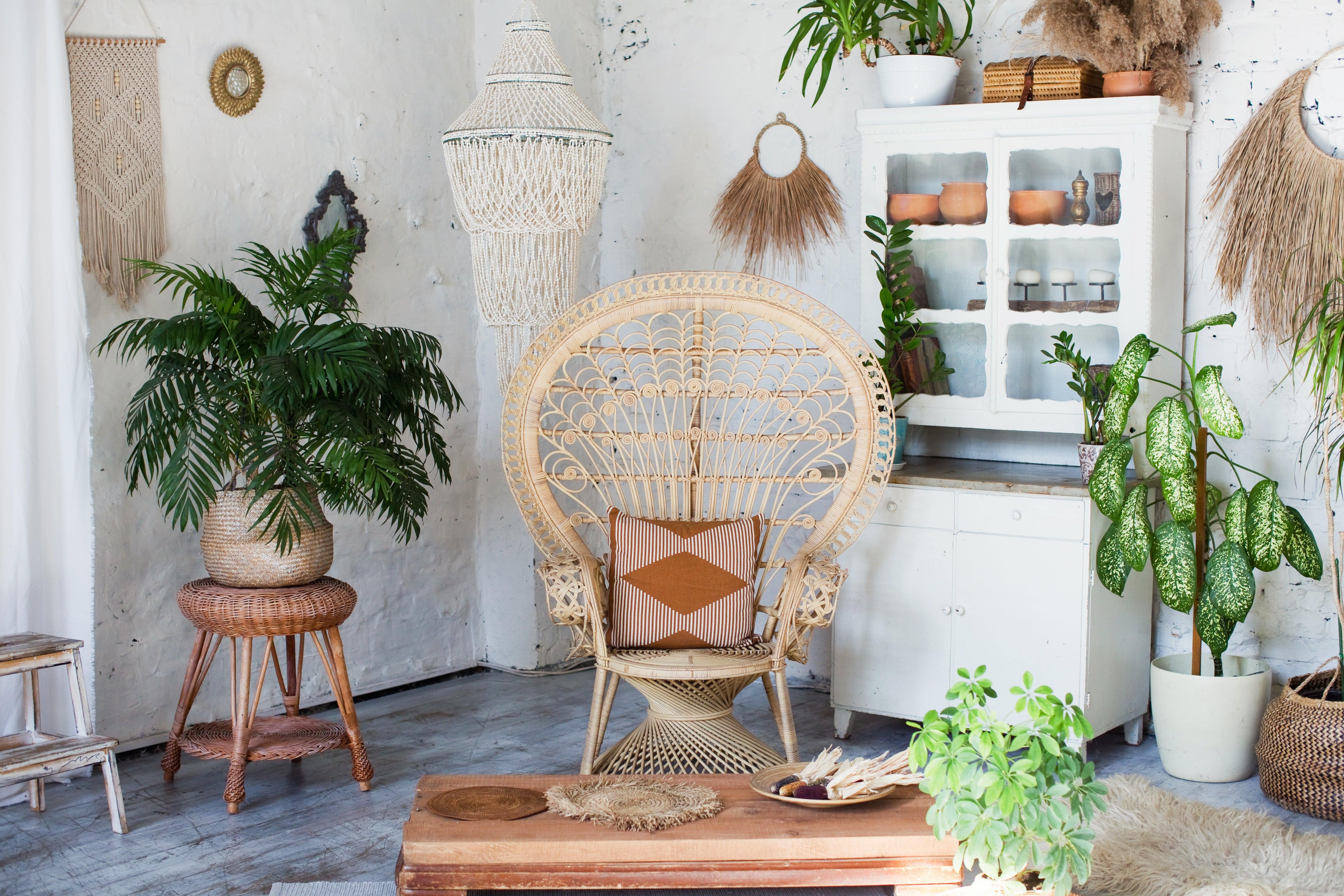 many plants in a sitting area