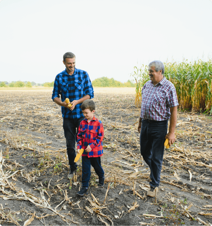 A family in a corn field in Indiana
